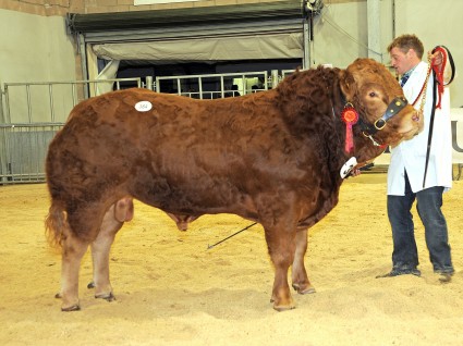 Spittalton Flame 9,000gns
