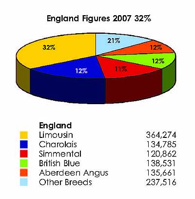 England Total Figures 2007
