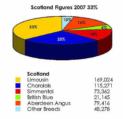 Scotland Total Figures 2007