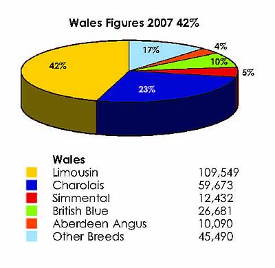 Wales Total Figures 2007